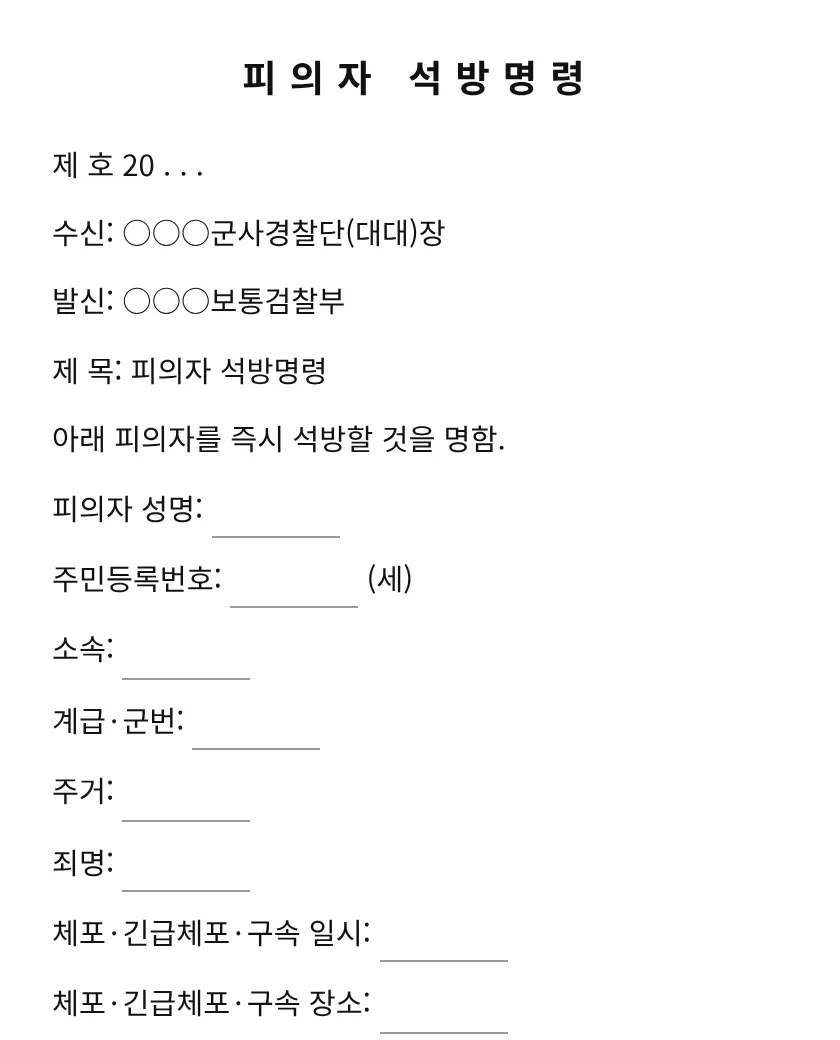 피의자 석방명령 미리보기