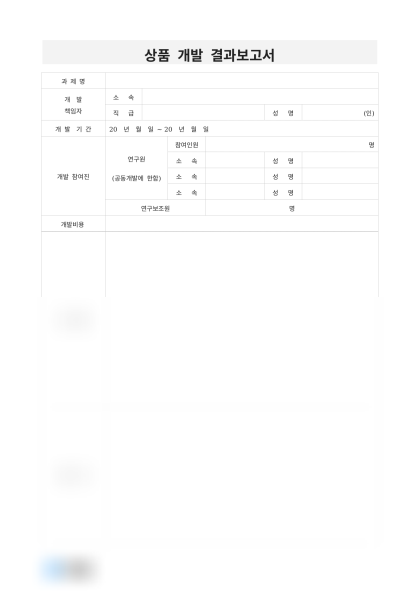 상품 개발 결과보고서 미리보기
