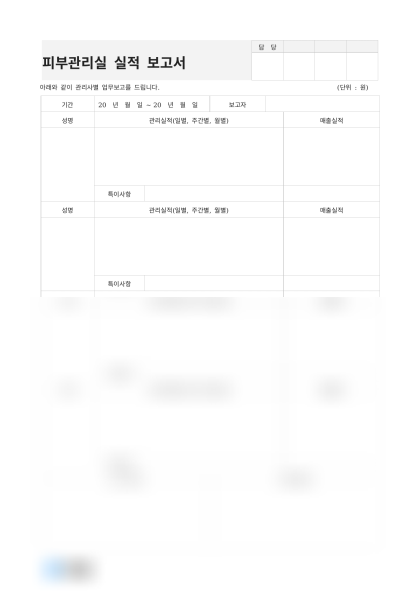 피부관리실 실적 보고서 미리보기