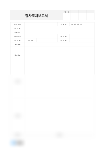 감사조치보고서(재무부) 미리보기