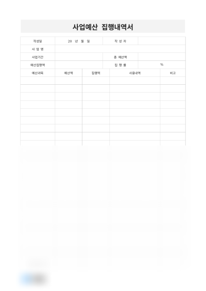 사업예산 집행내역서(청년 창업 지원) 미리보기