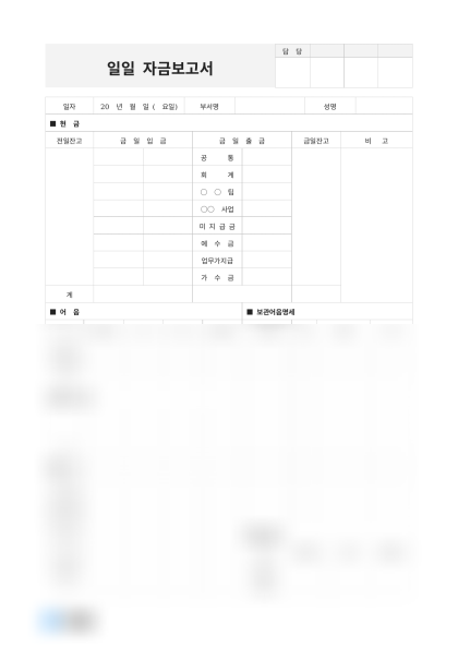 일일 자금보고서 경영보고 미리보기