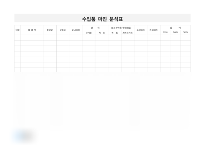 수입품 마진 분석표 미리보기