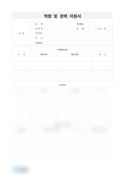 역량 및 경력 지원서 미리보기
