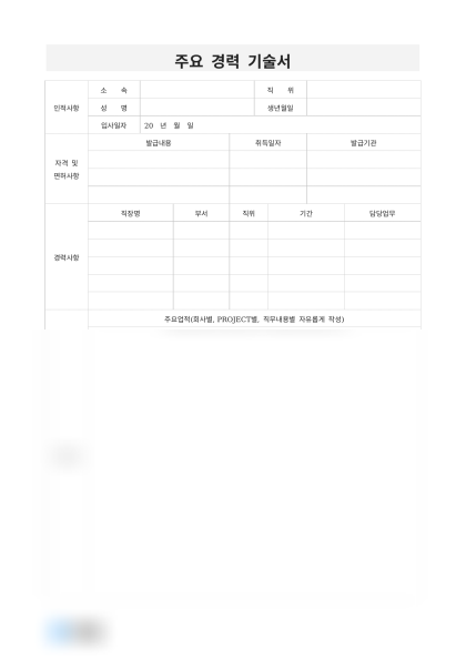 주요 경력 기술서 미리보기