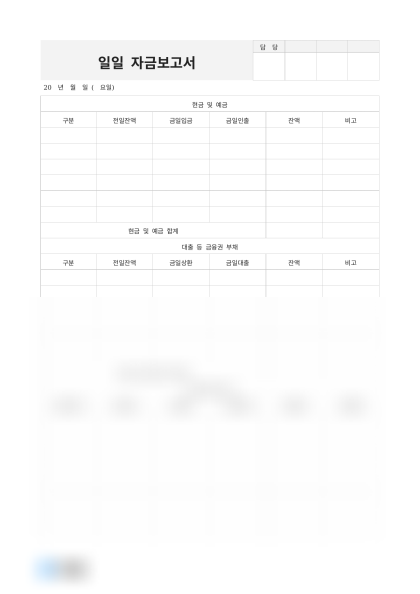 일일 자금보고서 금융권 부채 미리보기