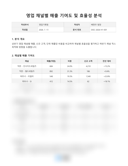 영업 채널별 매출 기여도 및 효율성 분석 미리보기