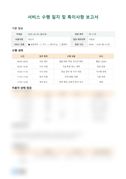서비스 수행 일지 및 특이사항 보고서 미리보기